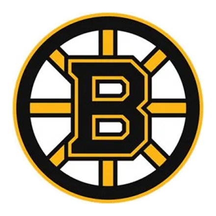Boston Bruins Special Edition Lapel Pin - Boston Teams Store